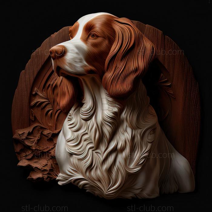 st Irish Red and White Setter dog